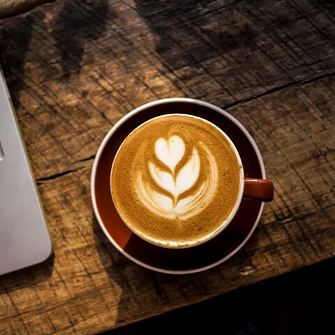Café hoja